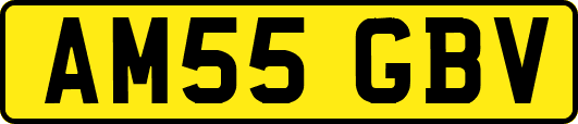 AM55GBV