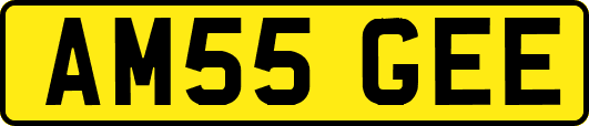 AM55GEE