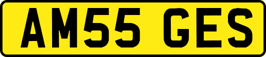 AM55GES