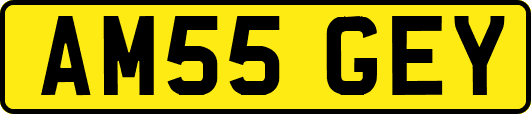 AM55GEY