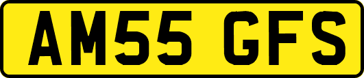 AM55GFS