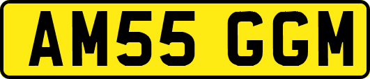 AM55GGM