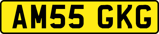 AM55GKG
