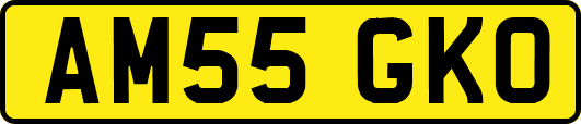 AM55GKO