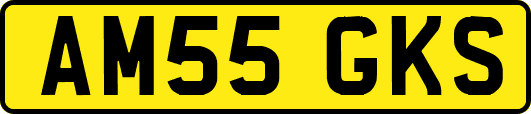 AM55GKS