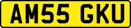 AM55GKU