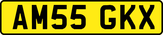 AM55GKX