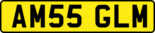 AM55GLM