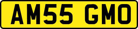 AM55GMO