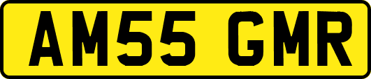 AM55GMR