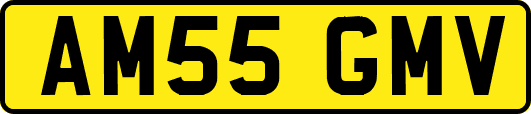 AM55GMV