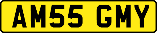 AM55GMY