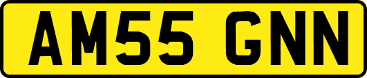 AM55GNN