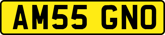 AM55GNO