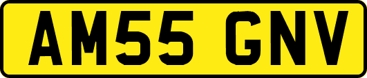 AM55GNV