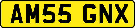 AM55GNX