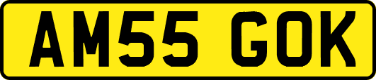 AM55GOK