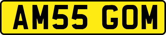 AM55GOM