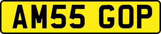 AM55GOP