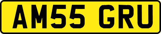 AM55GRU