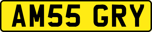 AM55GRY