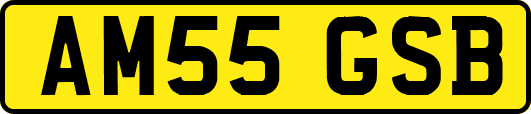 AM55GSB
