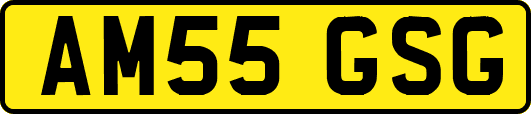 AM55GSG