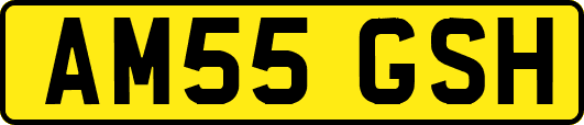 AM55GSH
