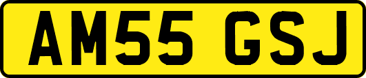 AM55GSJ