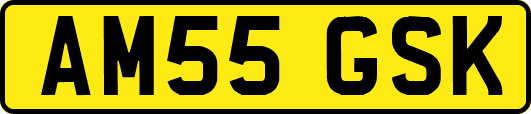 AM55GSK