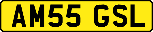 AM55GSL