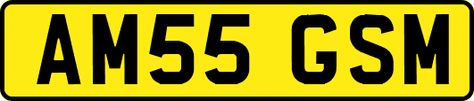 AM55GSM