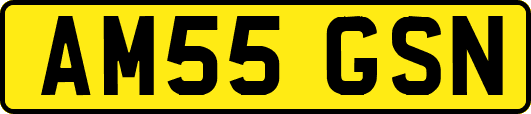 AM55GSN