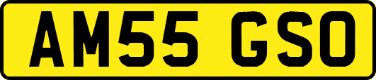 AM55GSO