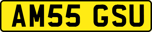 AM55GSU