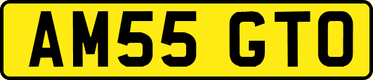 AM55GTO