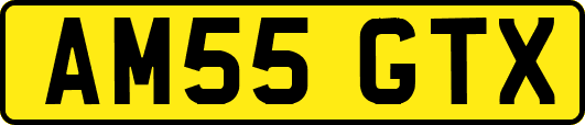 AM55GTX