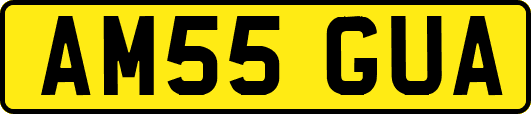 AM55GUA