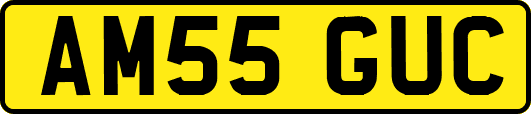 AM55GUC