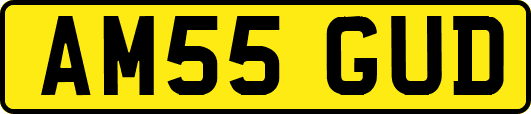 AM55GUD