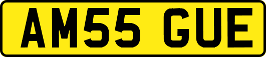 AM55GUE