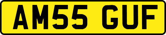 AM55GUF