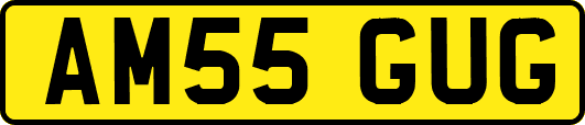 AM55GUG