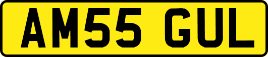 AM55GUL