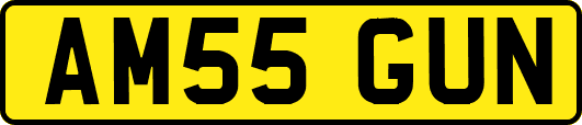 AM55GUN