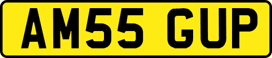 AM55GUP