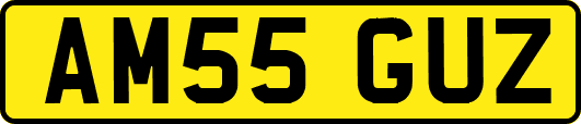 AM55GUZ