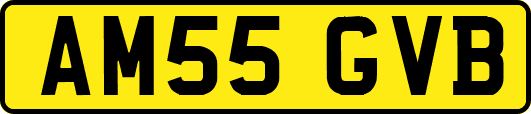 AM55GVB