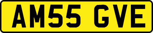 AM55GVE