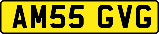 AM55GVG